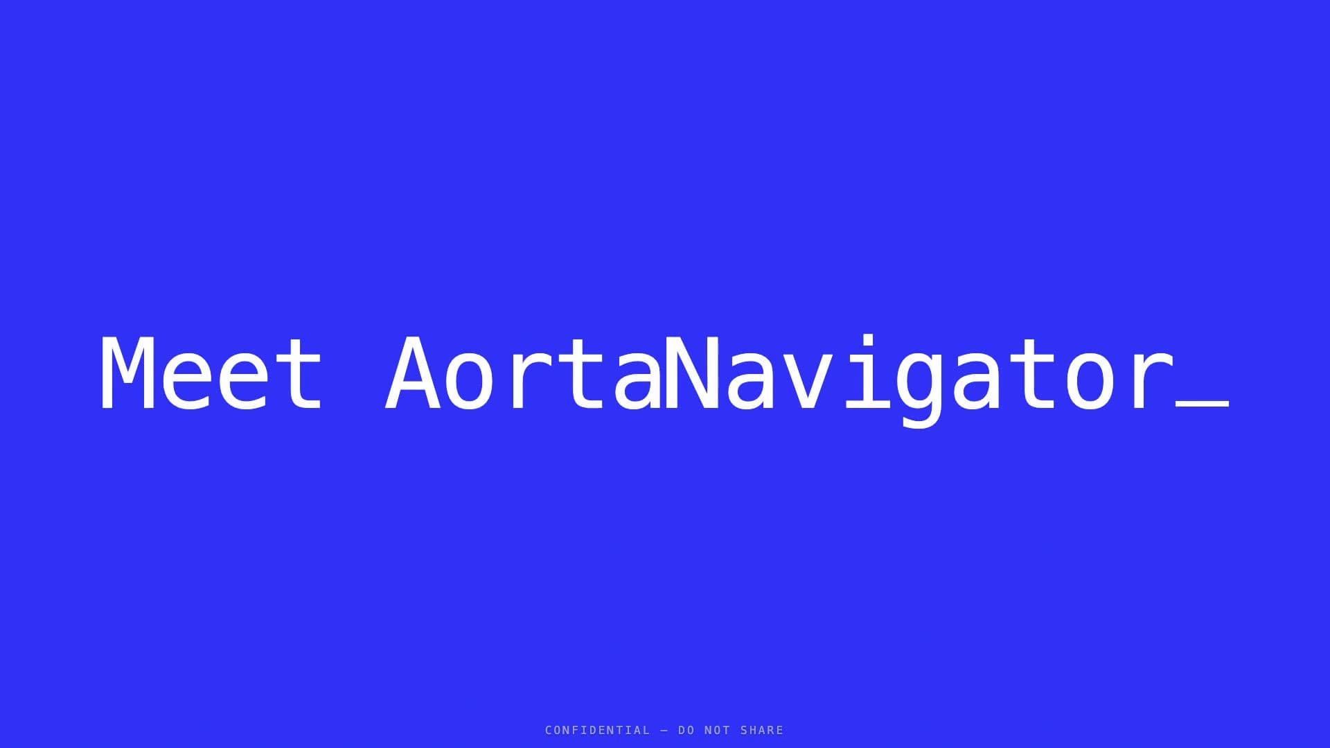 AortaNavigator